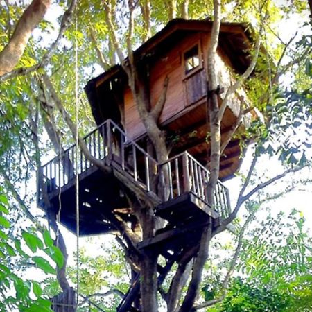 Rabeang Pasak Tree House Resort Chiang Mai Buitenkant foto